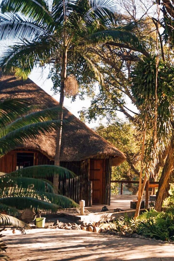 Safari Bushriver Lodge 1