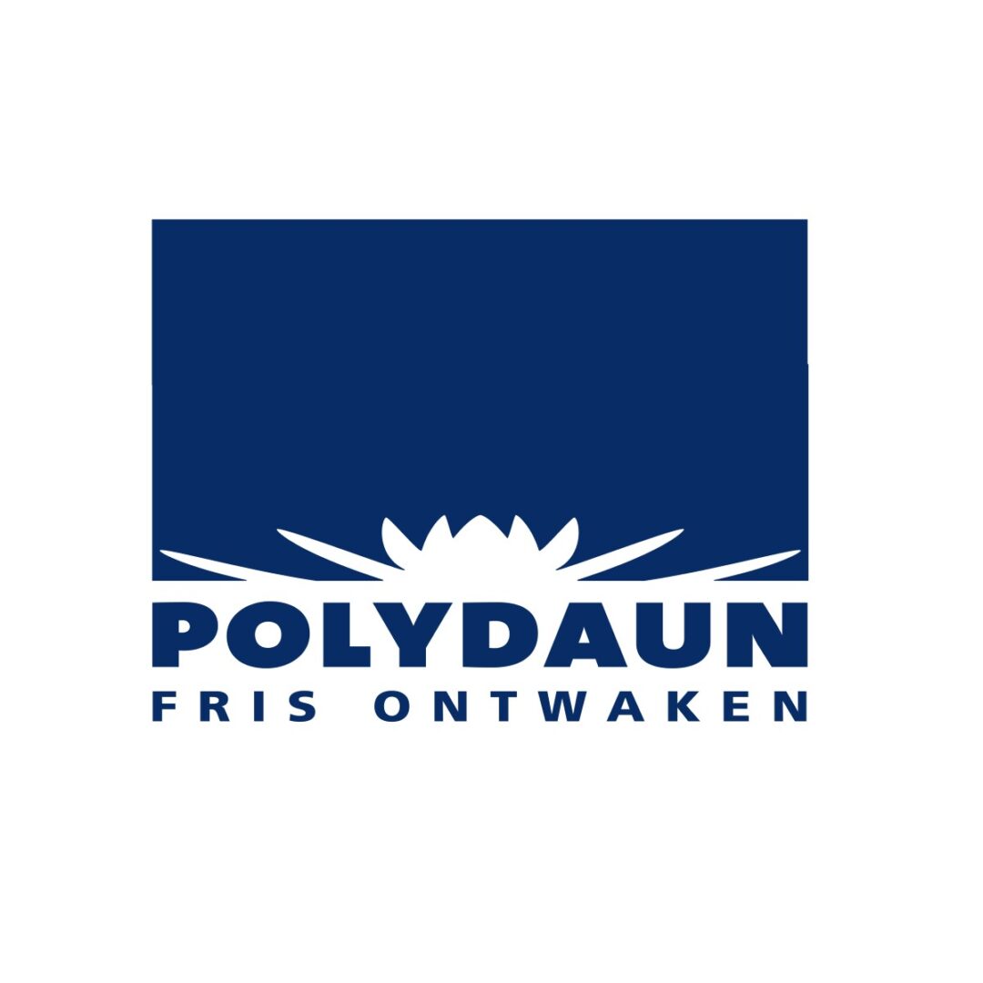 Polydaun hoofdkussens