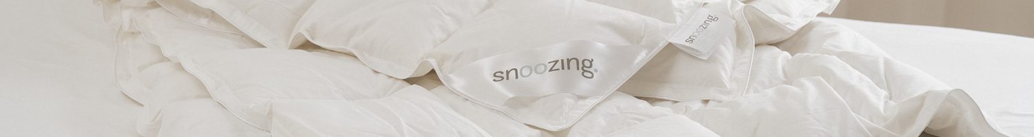 2-persoons dekbedden