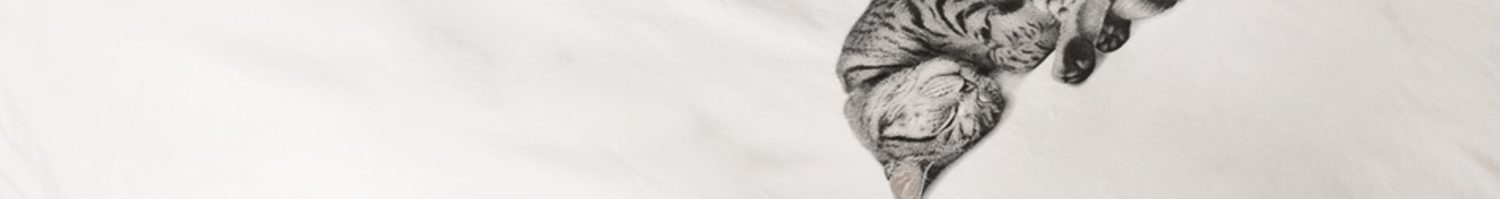 Witte kinderdekbedovertrekken