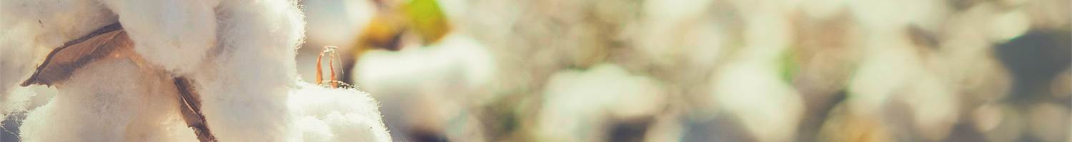 Fairtrade beddengoed