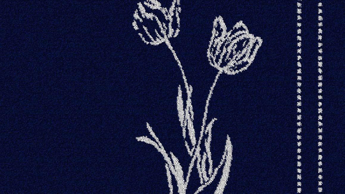 DDDDD Lisse Keukendoek (set van 6)