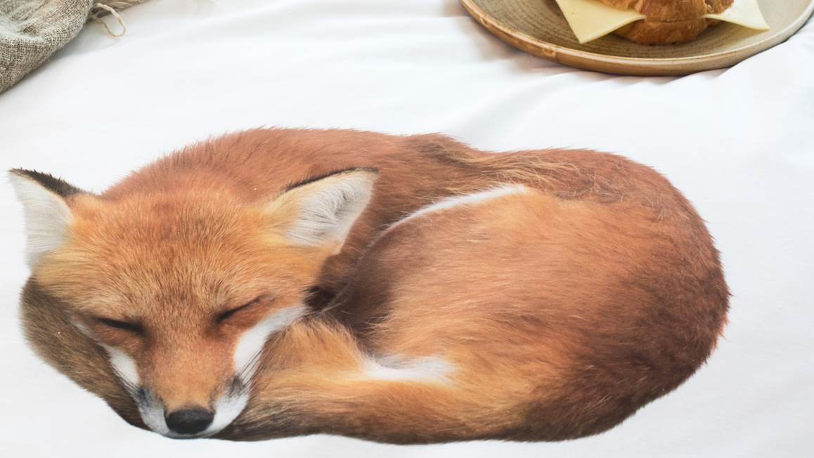 SNURK Sleeping Fox flanel dekbedovertrek