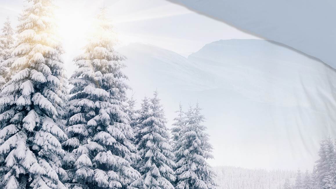 Pure Winter View dekbedovertrek