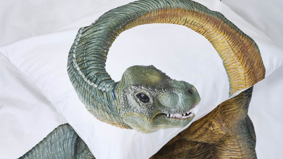 SNURK Dino Bronto dekbedovertrek
