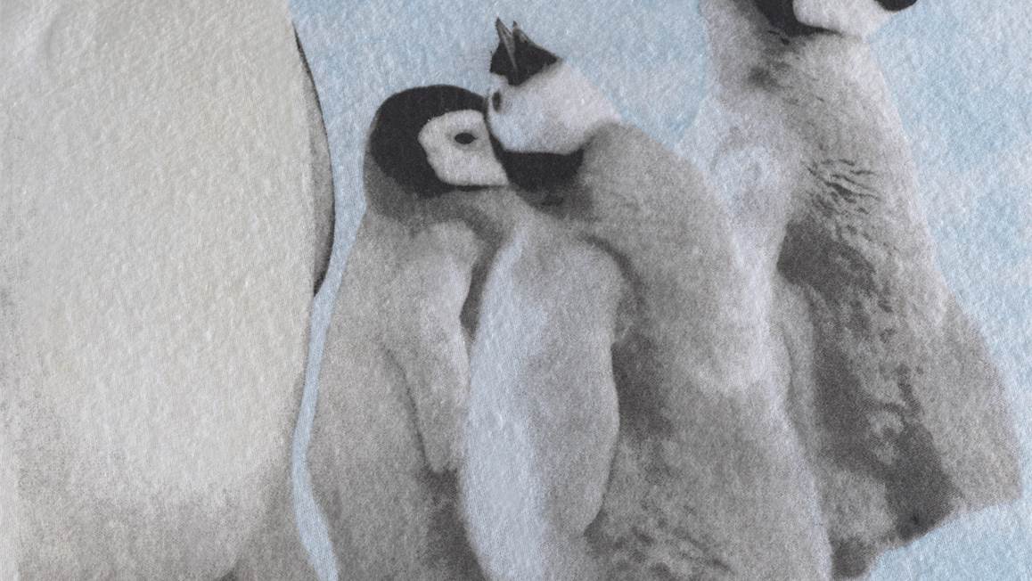 Zohome Pingu flanel dekbedovertrek