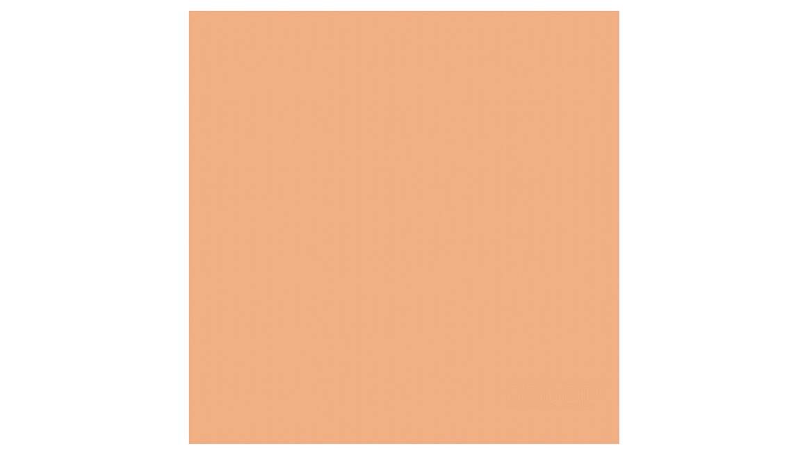 DDDDD Logo theedoek (set van 6)