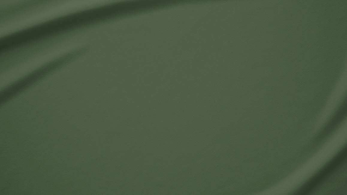 Snoozing flanel kussenslopen (set van 2)