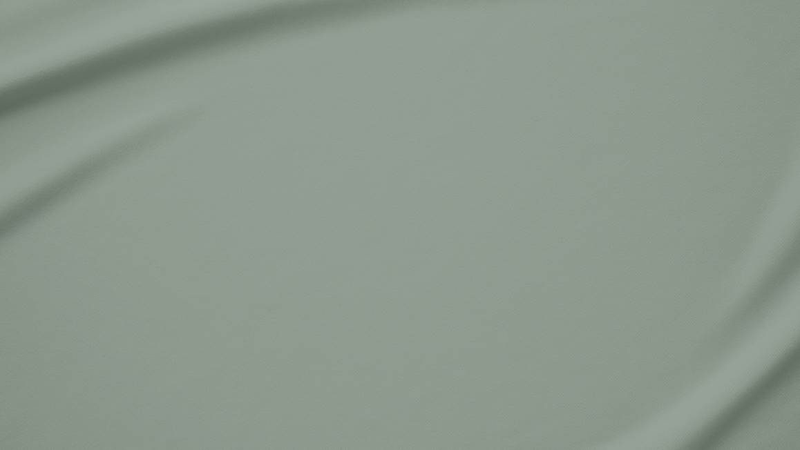 Snoozing percale katoen kussenslopen (set van 2)