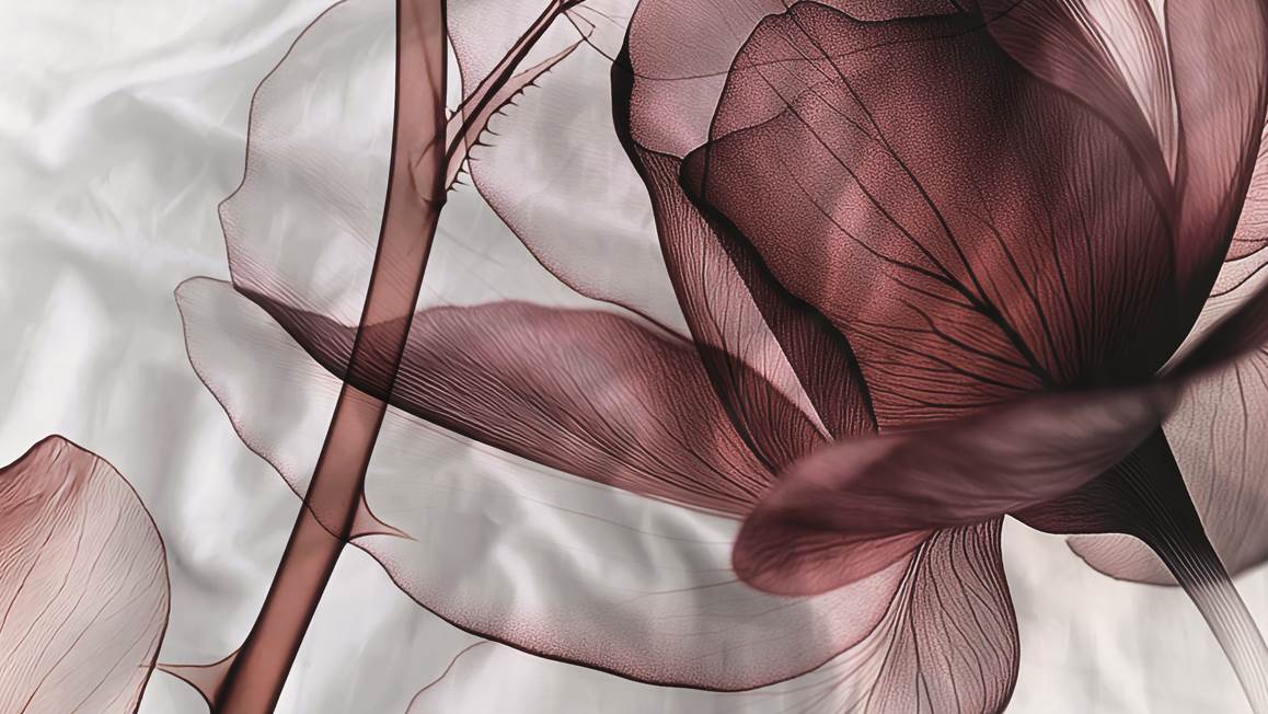 Heckettlane Harriet dekbedovertrek