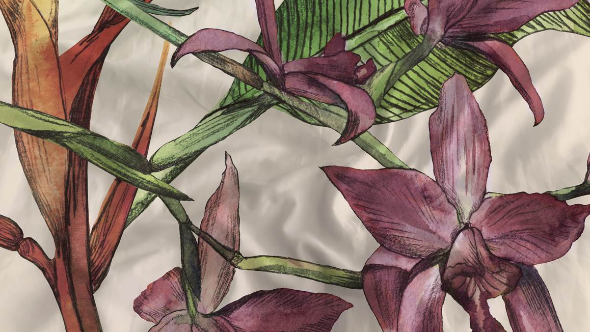 Heckettlane Jira dekbedovertrek