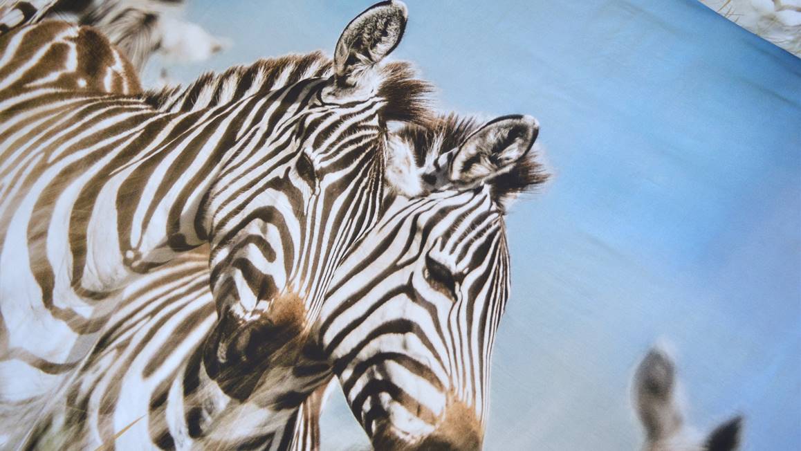Snoozing Zebra dekbedovertrek