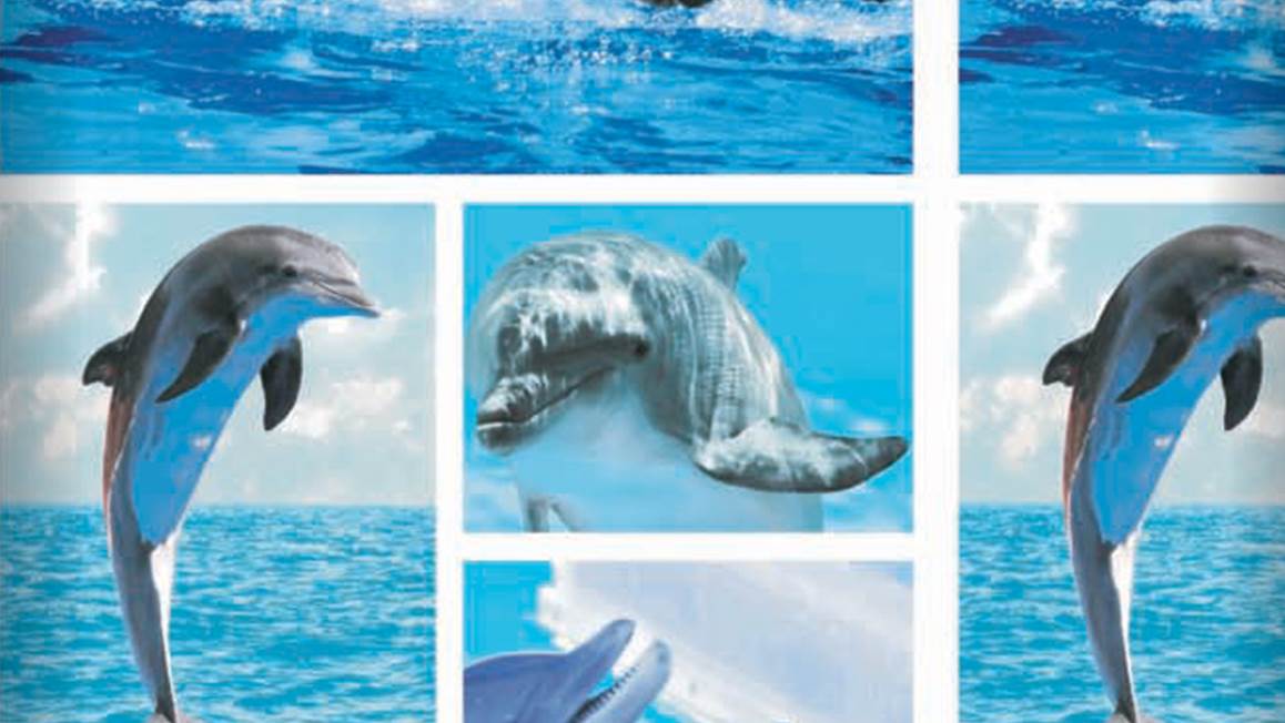 Snoozing Dolphins flanel dekbedovertrek