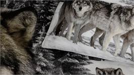 Snoozing Wolf flanel dekbedovertrek