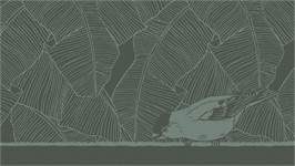 DDDDD Birdy theedoek (set van 6)