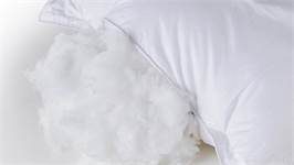 Cinderella New Classic synthetisch zacht hoofdkussen
