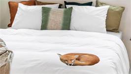 SNURK Sleeping Fox dekbedovertrek