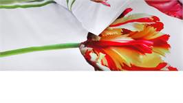 Papillon Tulip dekbedovertrek