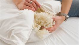 Snoozing Texelite wollen medium hoofdkussen