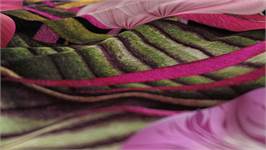 Dreamhouse Bedding Petal dekbedovertrek