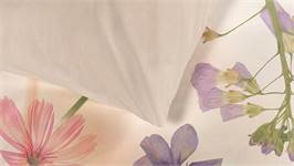 Snoozing Vivienne dekbedovertrek