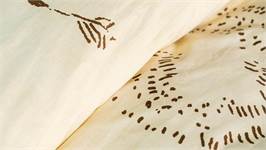 Kayori Mira dekbedovertrek