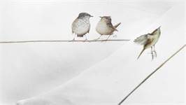 Marjolein Bastin Gathering dekbedovertrek