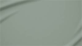 Snoozing percale katoen laken