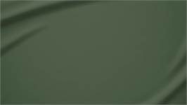 Snoozing flanel kussenslopen (set van 2)