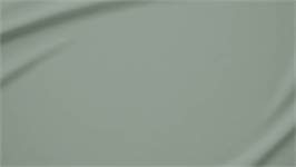 Snoozing flanel kussenslopen (set van 2)