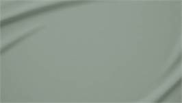 Snoozing katoen-satijn kussenslopen (set van 2)