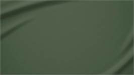 Snoozing percale katoen kussenslopen (set van 2)