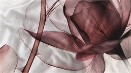 Heckettlane Harriet dekbedovertrek