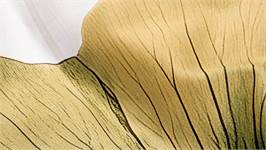 Essenza Kati dekbedovertrek