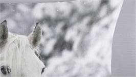 Good Morning Bonnie flanel dekbedovertrek