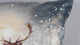 Pure Jeppe dekbedovertrek