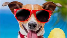 Good Morning Diesel strandlaken