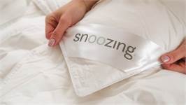 Snoozing Matterhorn donzen zomerdekbed