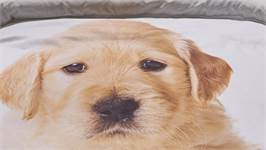 iSeng Puppy dekbedovertrek