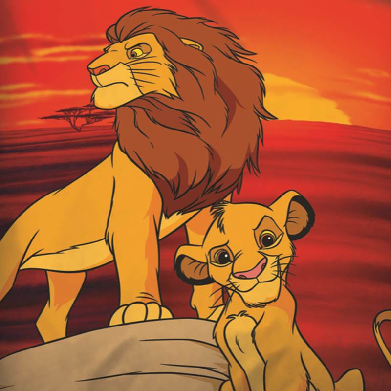 Disney Lion King dekbedovertrek