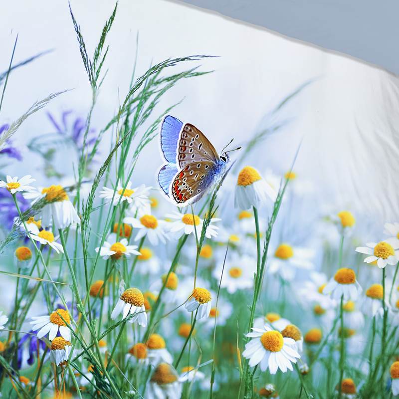 Good Morning Butterfly dekbedovertrek