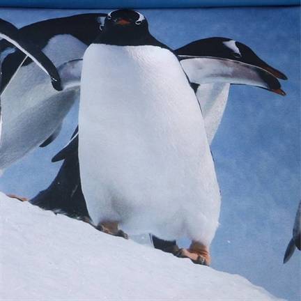 Ambiante Penguins dekbedovertrek