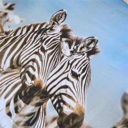 Snoozing Zebra dekbedovertrek