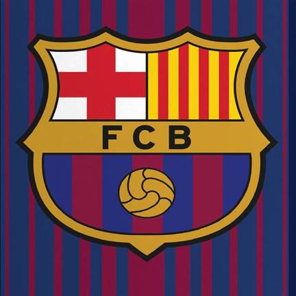 FC Barcelona dekbedovertrek