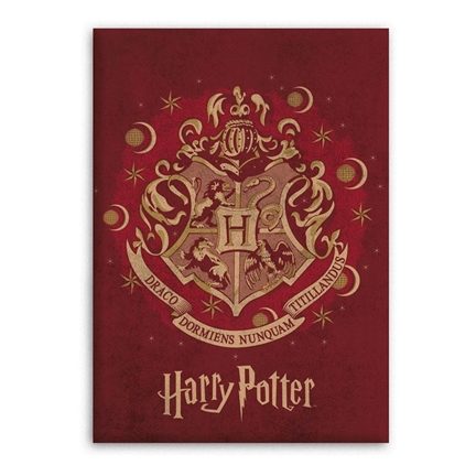 Harry Potter fleece plaid