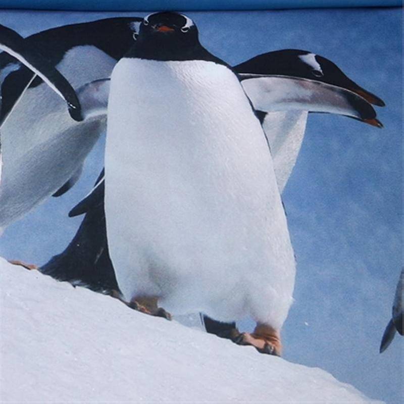 Ambiante Penguins dekbedovertrek Ice Blue 2-persoons (200x200/220 cm + 2 slopen)