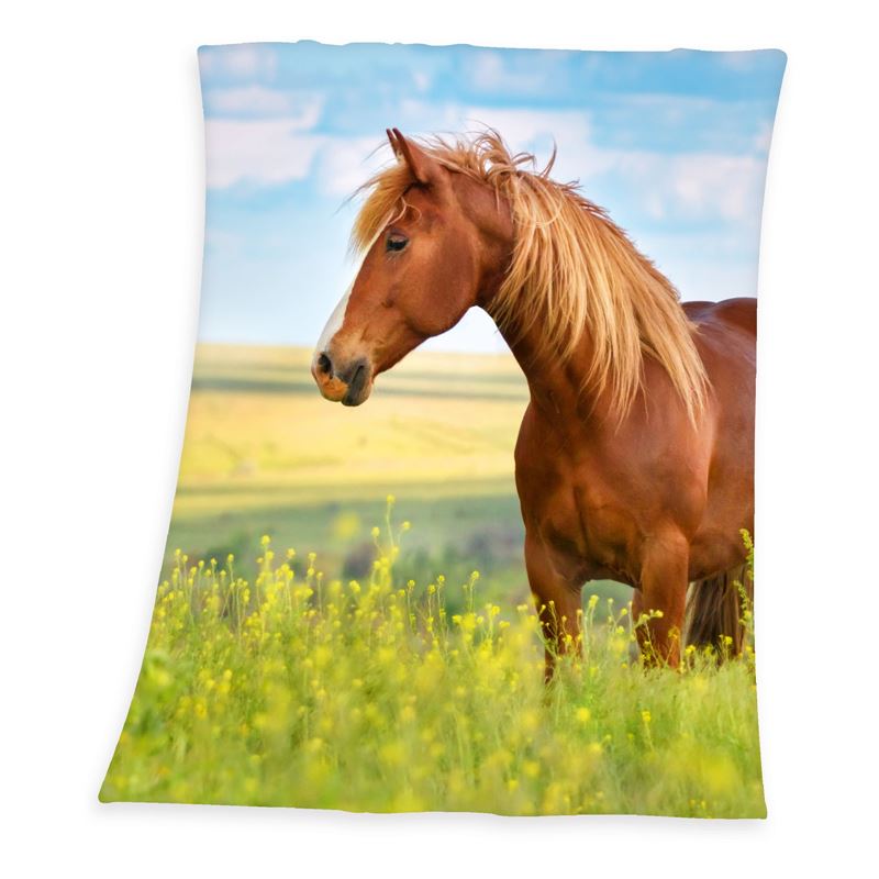 Young Collection Horse plaid Multi 130x160 cm
