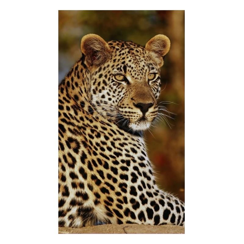 Good Morning Leopard Strandlaken good morning kopen in de aanbieding