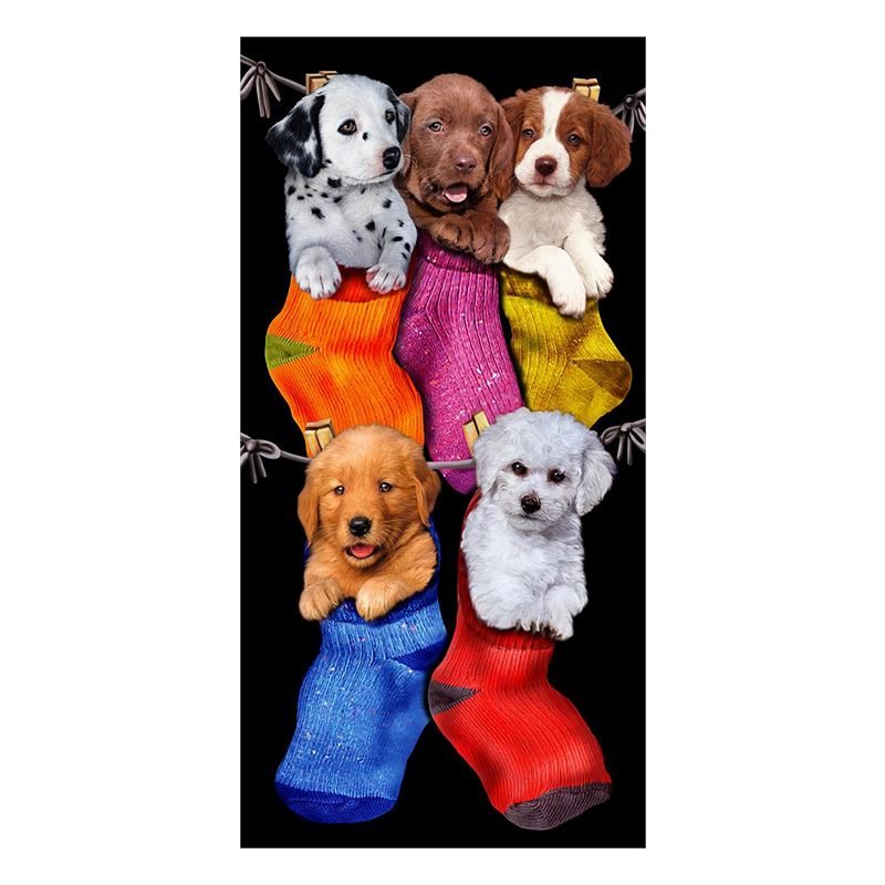 Puppies in socks strandlaken