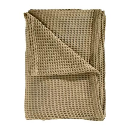 Pale Khaki